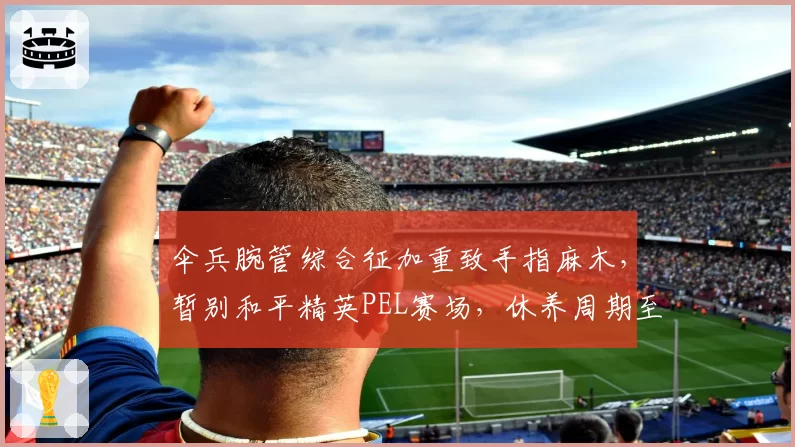伞兵腕管综合征加重致手指麻木，暂别和平精英PEL赛场，休养周期至少三个月
