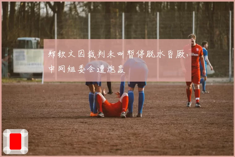 郑钦文因裁判未叫暂停脱水昏厥，中网组委会遭炮轰