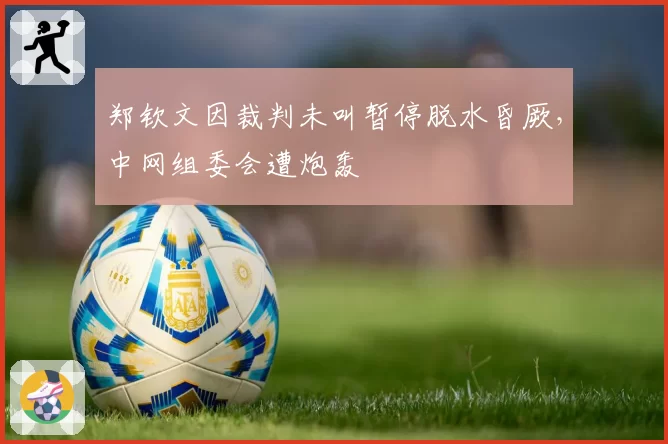 郑钦文因裁判未叫暂停脱水昏厥，中网组委会遭炮轰
