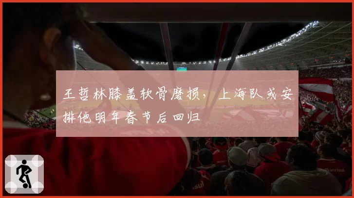 王哲林膝盖软骨磨损，上海队或安排他明年春节后回归
